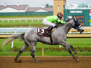 Treasure of the Midwest: Indiana Thoroughbred Horse Racing