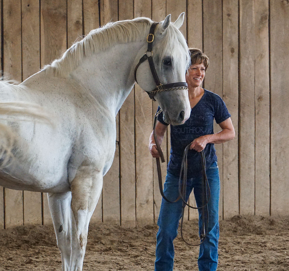 Calculator, racehorse and stallion. Breakway Farm, Dillsboro, Indiana. Treasure of the Midwest