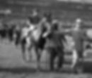 1944 Kentucky Derby winner Pensive 