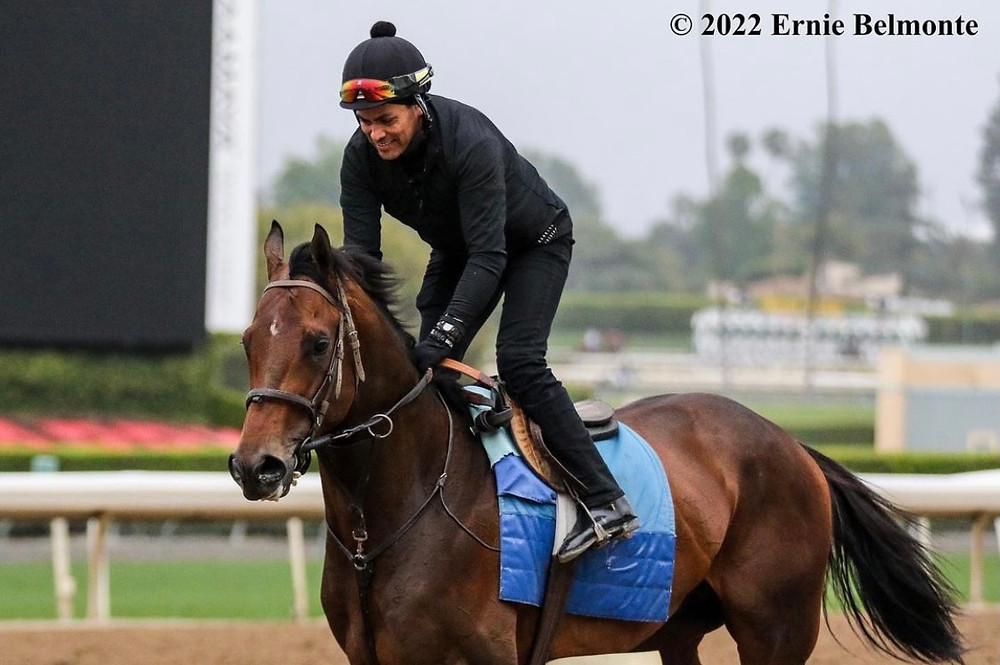 2022 Kentucky Derby contender Messier, Santa Anita Park.
