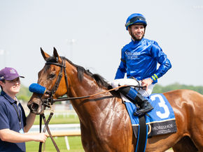 Pondering's Career Has Been a Rollercoaster