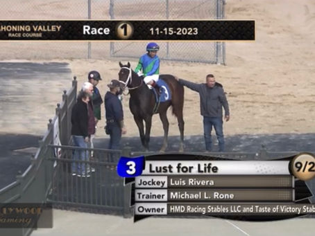 Year in Review: 2023 with Taste of Victory Stables