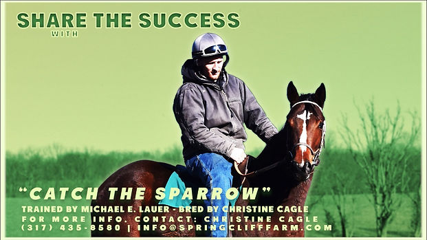 sparrowthumb.jpeg
