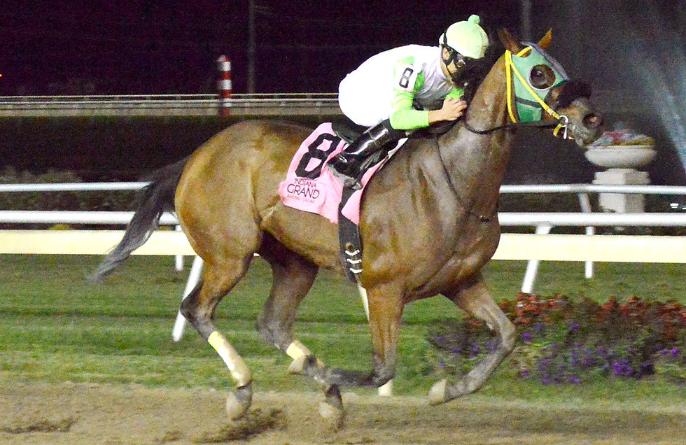 Lady Fog Horn, Indiana-bred & Indiana-sired Highest Earning Filly, at Indiana Grand. Frances Slocum Stakes.