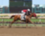 Holy Justice, Champion Indiana Sired Filly, at Horseshoe Indianapolis.