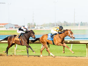 The Levels or Classes of Horse Racing