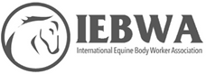 IEBWA logo (2).PNG