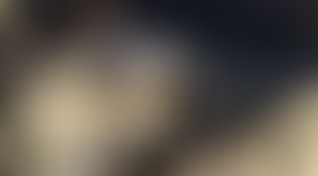 Le cimetière de Véhicules Militaires