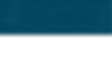 Seahorse Background White.png