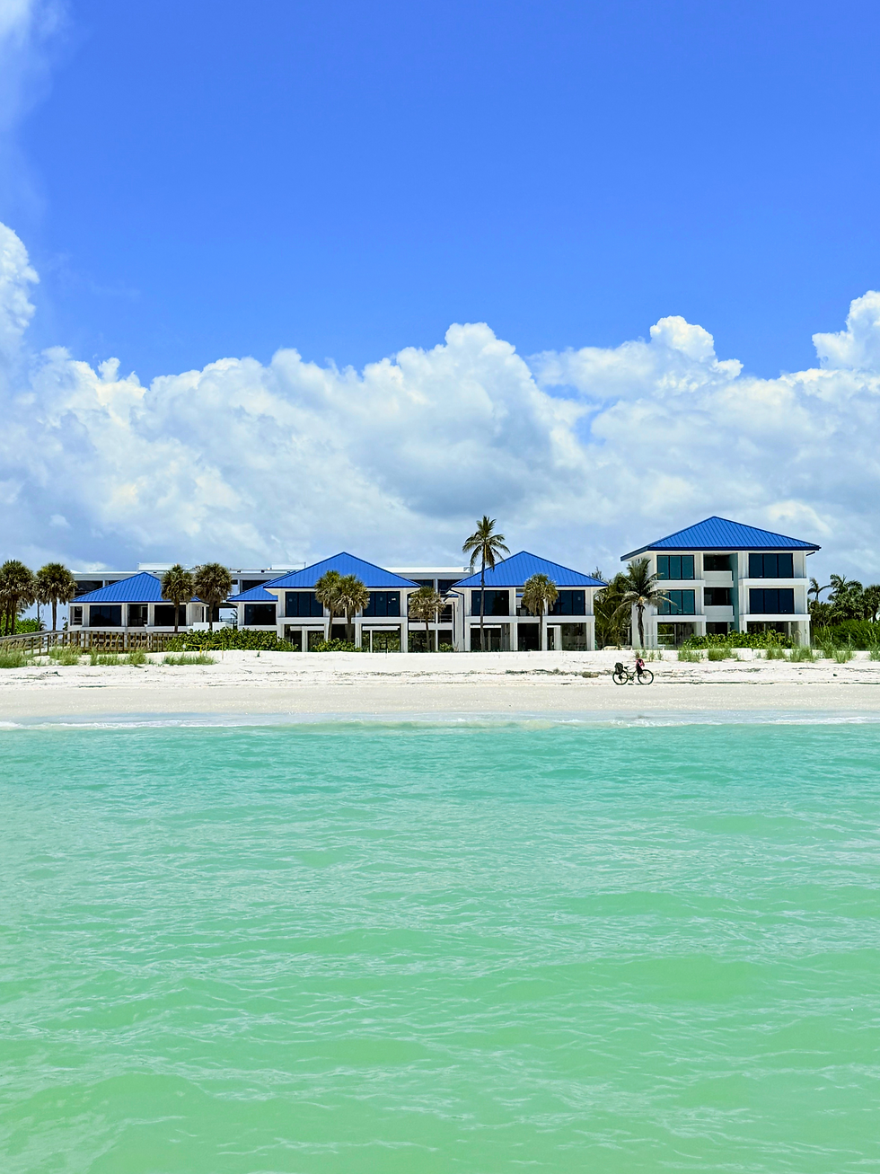 Beach View.png