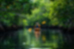 Kayaker on the water in Tarpon Bay surrounded by green foliage