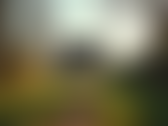 Understanding Inheritance Tax: Key Facts and Tips on Inheritance Thresholds in the UK