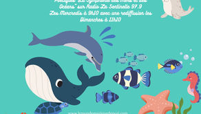 Pour bien profiter des vacances d'Eté reste bien à l'Ecoute de la Mer