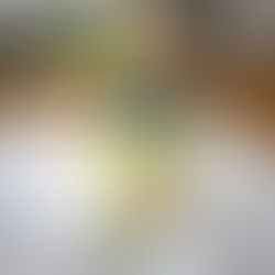 抹茶ヨーグルト