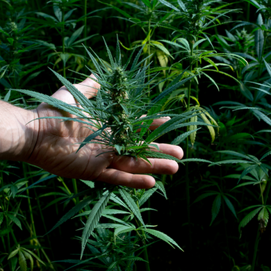 social media - 2023-05-31T125110.800.png