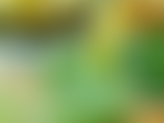 CBD GREEN PINEAPPLE SMOOTHIE