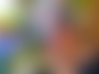 週末金曜日は就労順儀支援事業!今日はこんなプログラムでした!