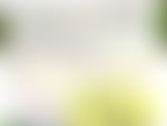 来週はいよいよ今年度最後のひきこもりに関する学習会です！