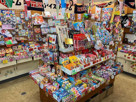 桜の見ごろはもう過ぎた?今週がスタート、今日は就労準備支援事業でした!