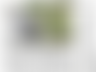 本日は社会参加事業の日!そして京都新聞さんに掲載されました!