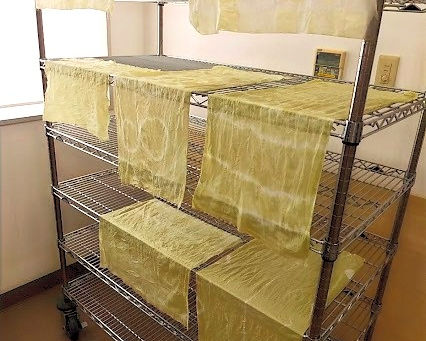 今年度1回目の月イチワークショップ!昨日は草木染めを体験しました!