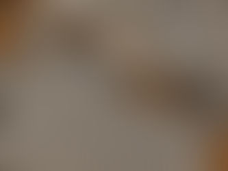 株式会社shioriyaさんの本部にて                                                                          就労プログラムに取り組みました！