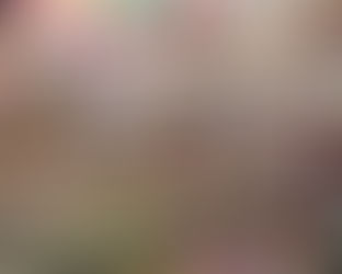 週末金曜日は就労準備支援事業の日!