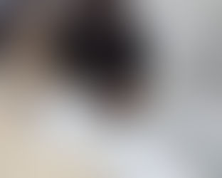 今年度の新商品は?