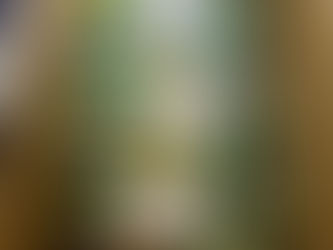 月曜日は就労準備支援事業。今年も残すところあと2週間です！