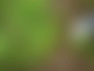 今日もお疲れさまでした!