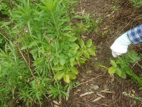 今日もお疲れさまでした!