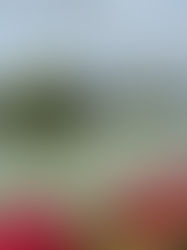 月曜日は就労準備支援事業。今日は訪問支援もありました。