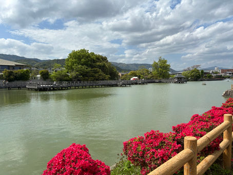 月曜日は就労準備支援事業。今日は訪問支援もありました。