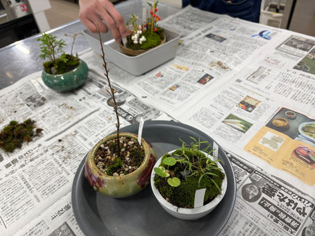 今日は社会参加支援事業で山野草の箱庭づくりのワークショップでした!