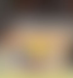 早稲田大学より研究生が再来す