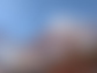 今週は就労準備支援事業の体験実習からスタートです!