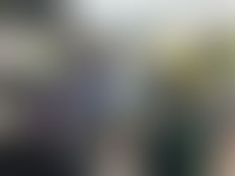 今日は社会参加支援事業で月イチワークショップ。農業体験に行ってきました!