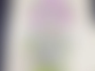 駄菓子屋から極上のサービスを!メンバー特製イラスト付き紙袋!