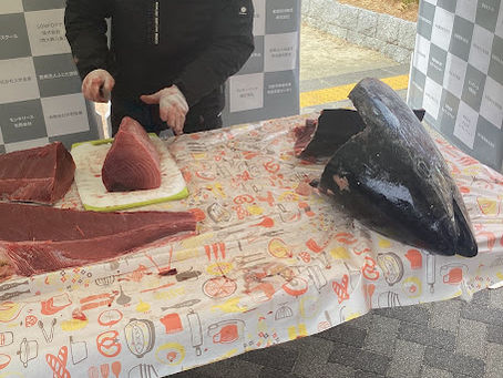 2/8は雪のダブル出店！まずはハピネスさんの雪降るマグロ解体ショー！