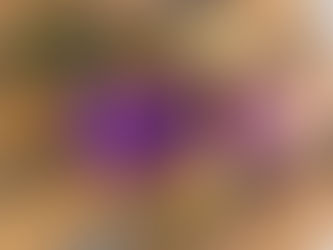 できることをしっかりと。地域の居場所として。