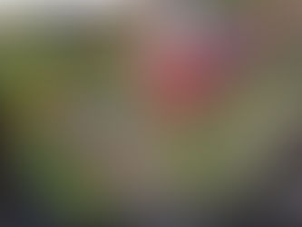 社会参加事業の今日はSwitchでゲーム大会!