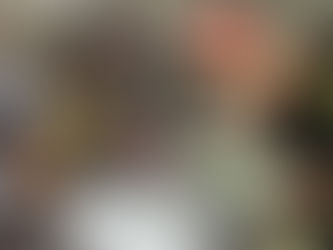 今日は社会参加支援事業で居場所づくりでした!