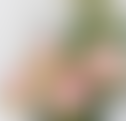 本日は企業見学!そして駄菓子屋ではお花屋さんもオープンしました!