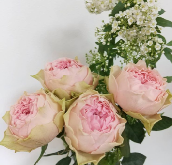 本日は企業見学!そして駄菓子屋ではお花屋さんもオープンしました!