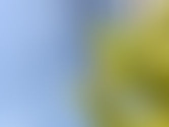 様々なプログラムで就労をサポート!今日は就労準備支援事業でした!