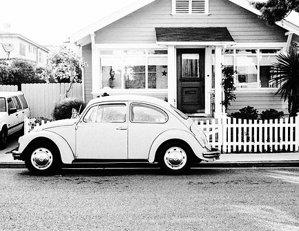 Beetle_edited_edited_edited_edited.jpg