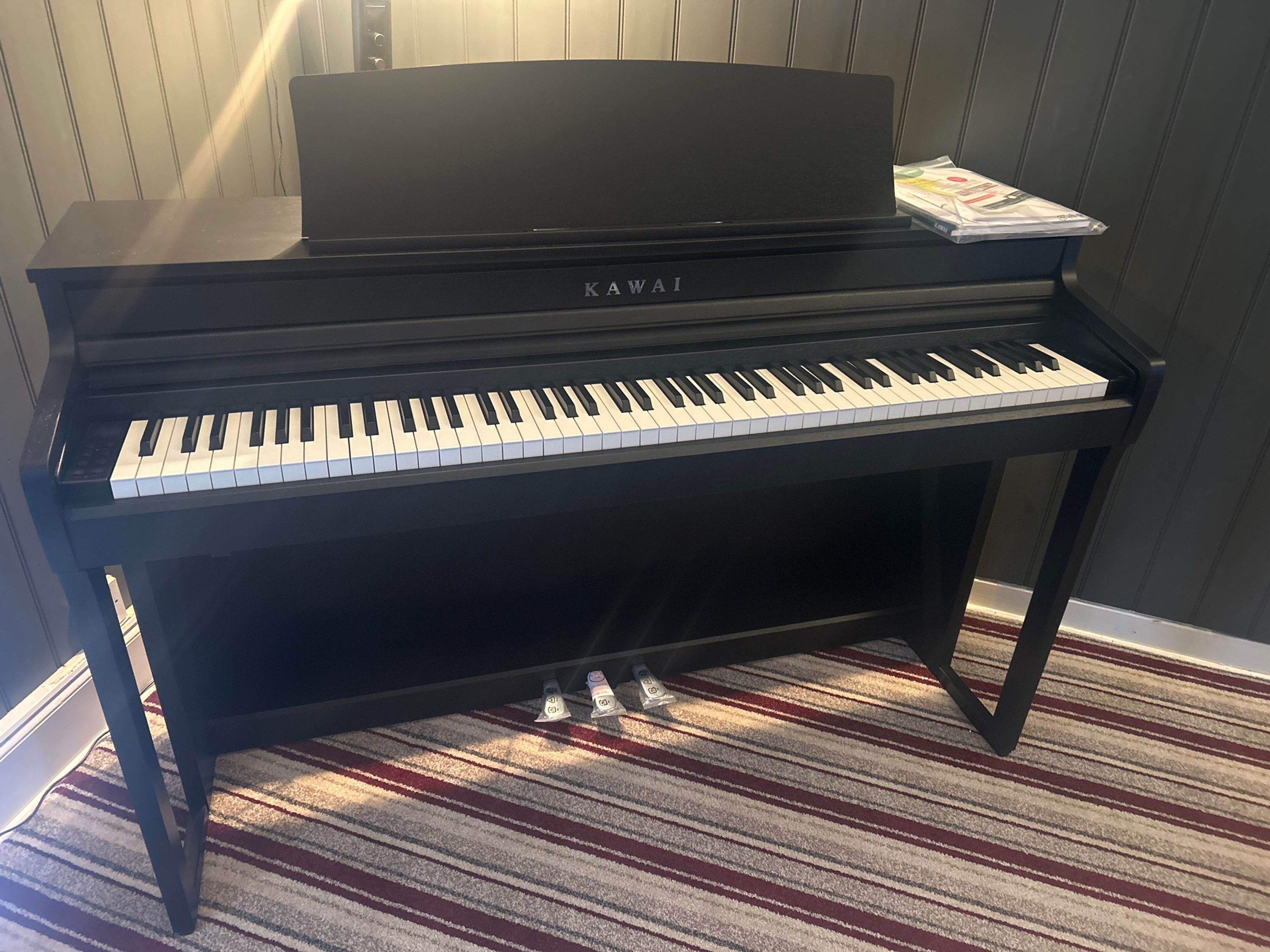 Kawai CA401