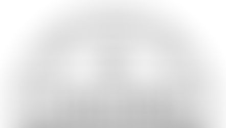 Risotto Taleggio och Radicchio tardivo Treviso