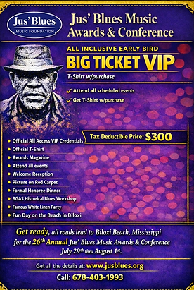 VIP flyer - no t'shirt.png