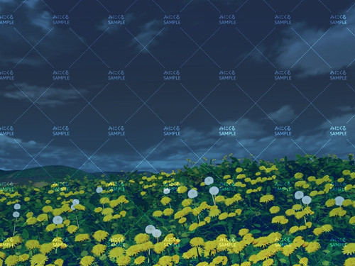 たんぽぽ たんぽぽ畑(夜) - 自然05春 | 背景素材店みにくる